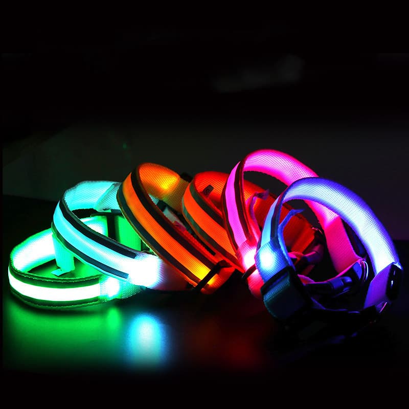 Anti-Lost LED Dog Collar