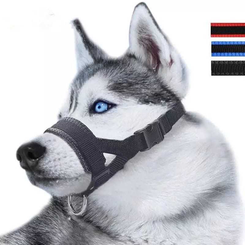 Dog Muzzle Anti-Bark Collar Breathable Training Nylon Set Stripes