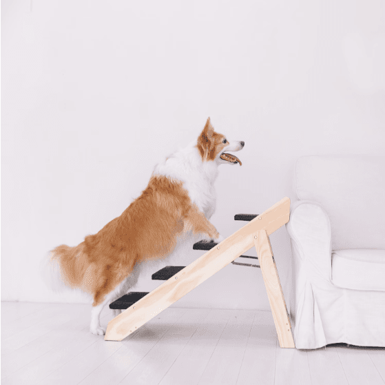 Wood Foldable 4-Tier Dog Stairs Ramp