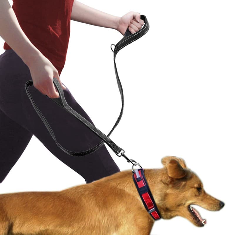 Double Handle Pull Dog Leash