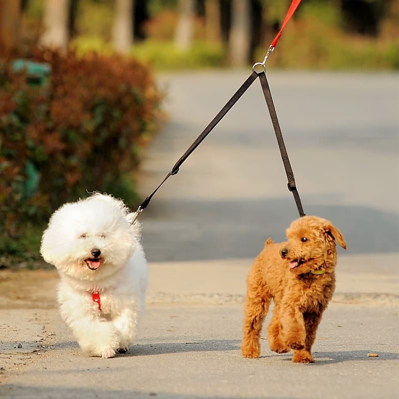 Walk 2 Two Dog Leash Coupler Double Twin Lead Walking