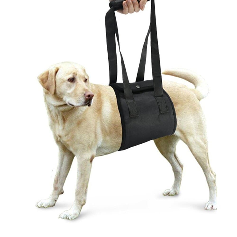 Dog Leash Auxiliary Belt
