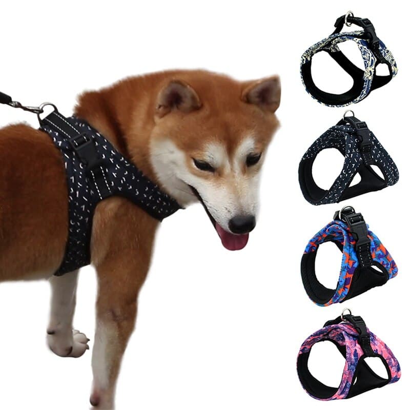Reflective Printed Strap Set Dog Collar
