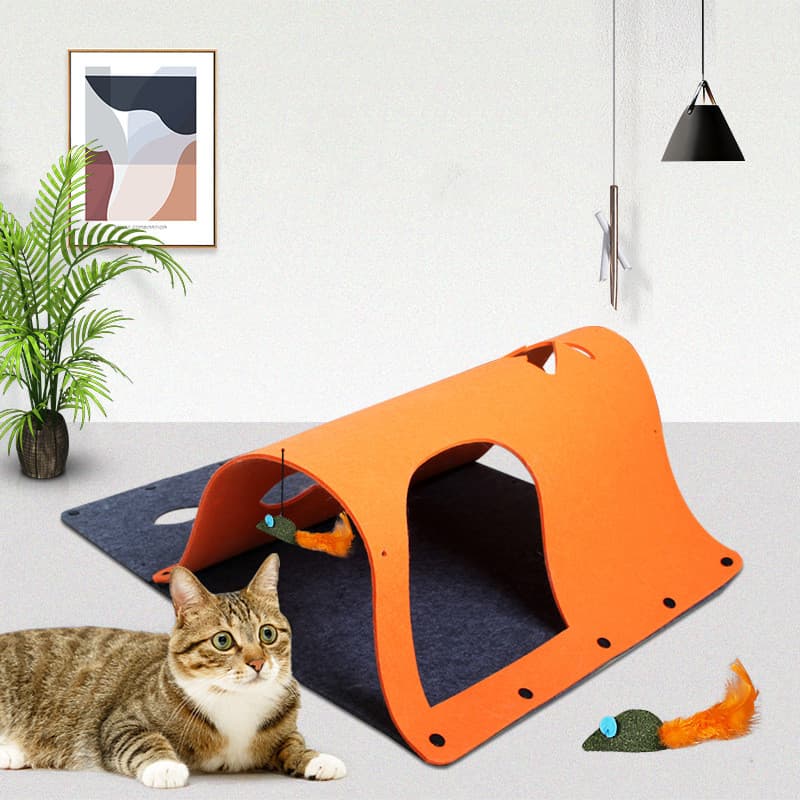 2-in-1 Toy Removable House Puppy Dog