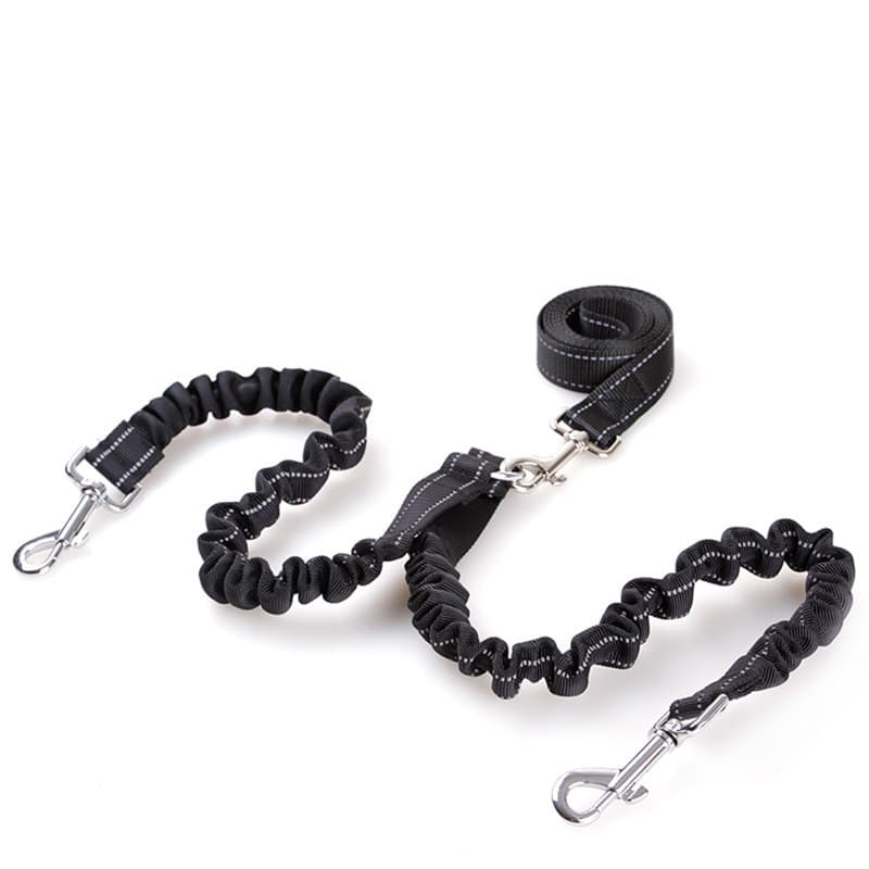 Double Headed Dog Tug Retractable Leash