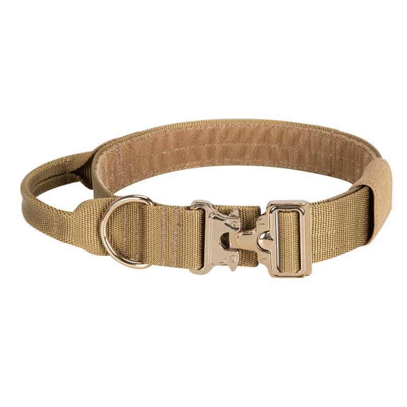 Large Dog Golden Rope Collar Leash Medium Chain