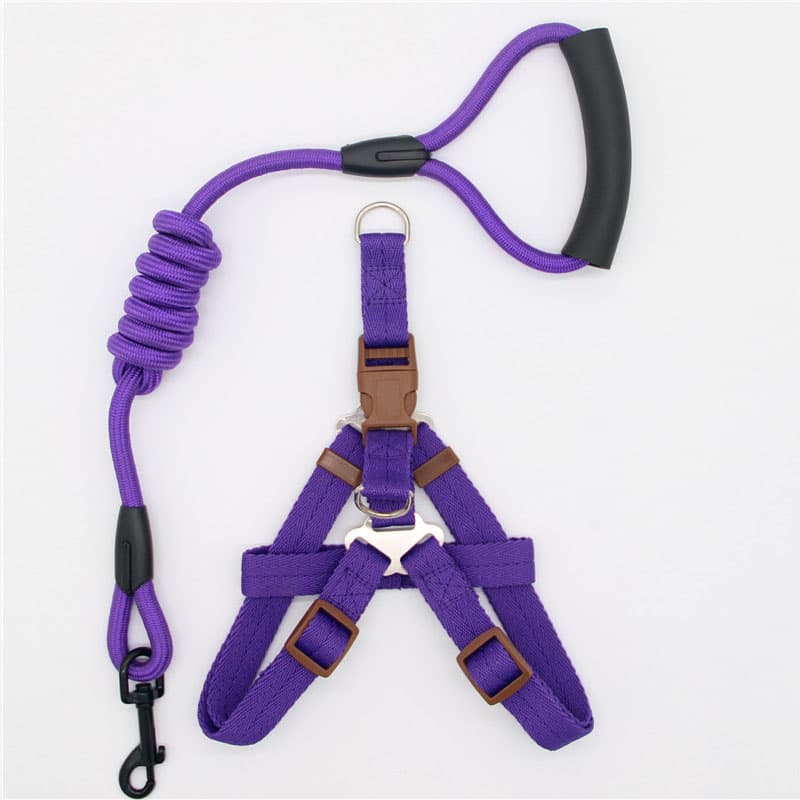 Simple Dog Leash
