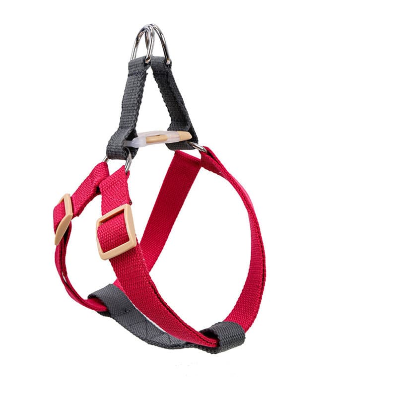 Leash for Medium Large Dogs