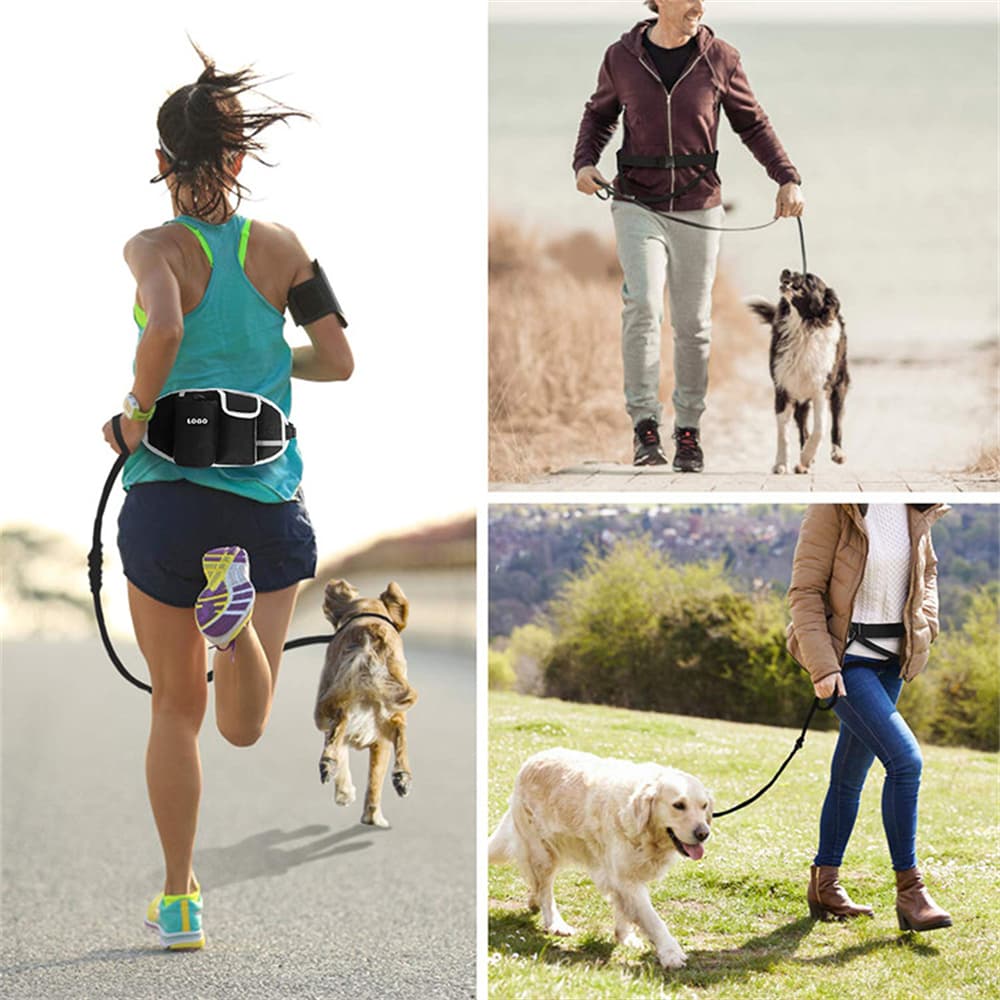 Dog Training Leash Bag Hands-Free Outdoor Portable Storage Bags