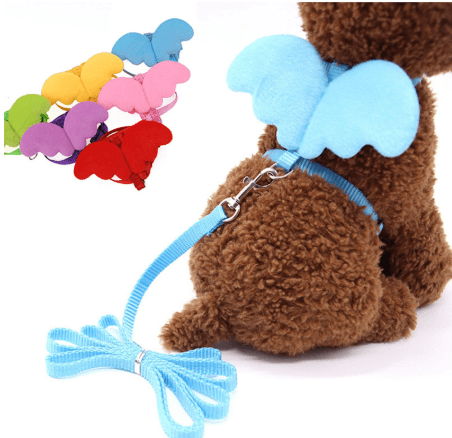 Little Angel Wings Dog Leash