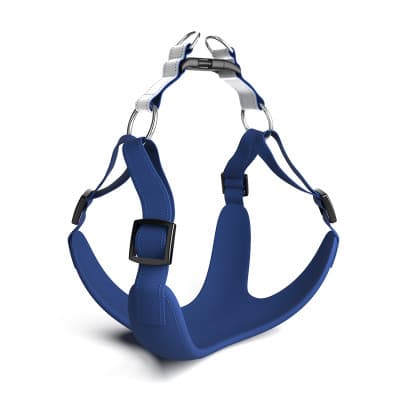 Per Dog Harness Leash