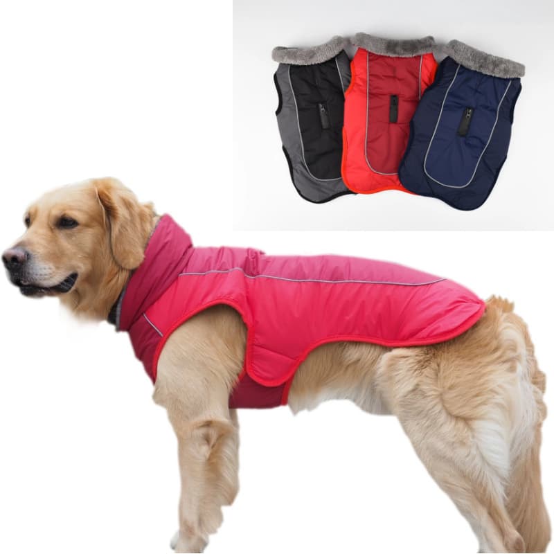 Dog Padded Coat Reflective