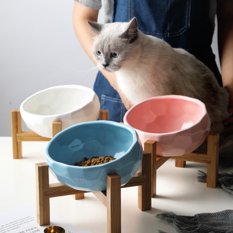 Dog Bowl Oblique Mouth Food Method Bucket