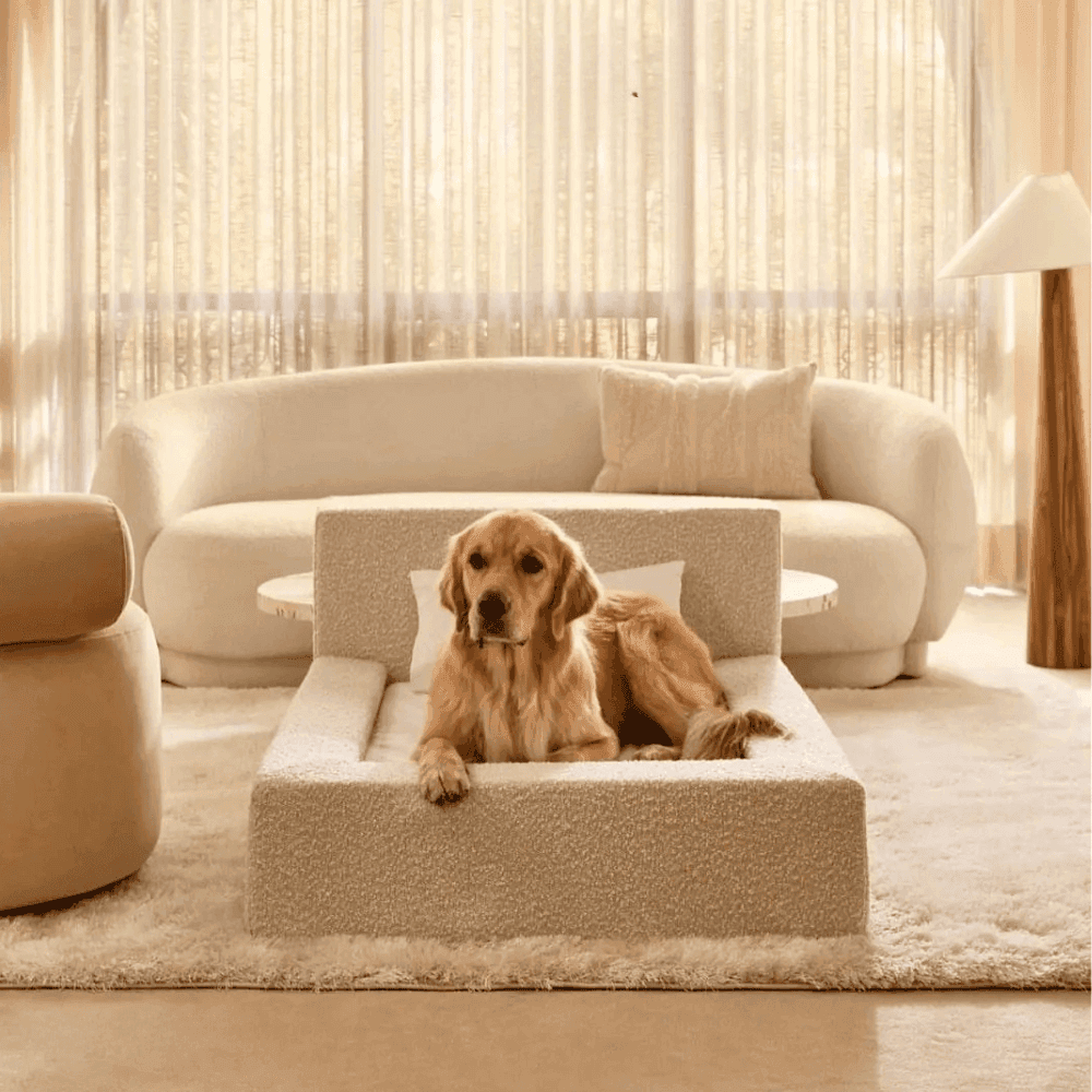 Dog Mat Movable Rectangular Sponge Bed Backrest