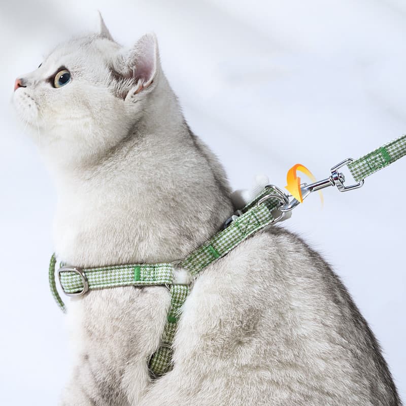 Small Dog for Leash Prevention Break Bolts