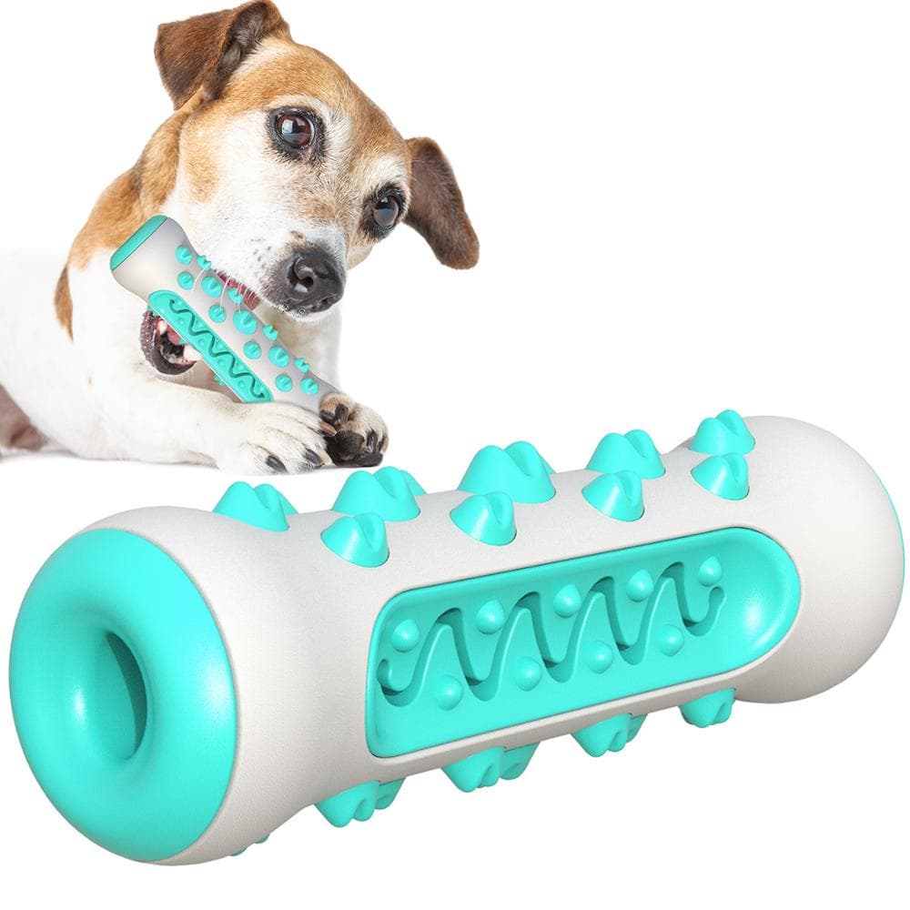 Tough Dental Dog Chew Toy