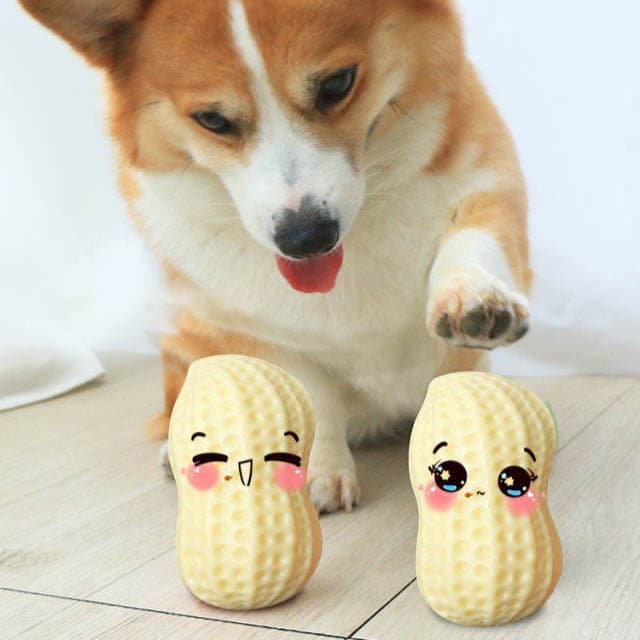 Dog Squeaky Toys Small Medium Dog Bite-Resistant Puppy Rubber Chew Toy