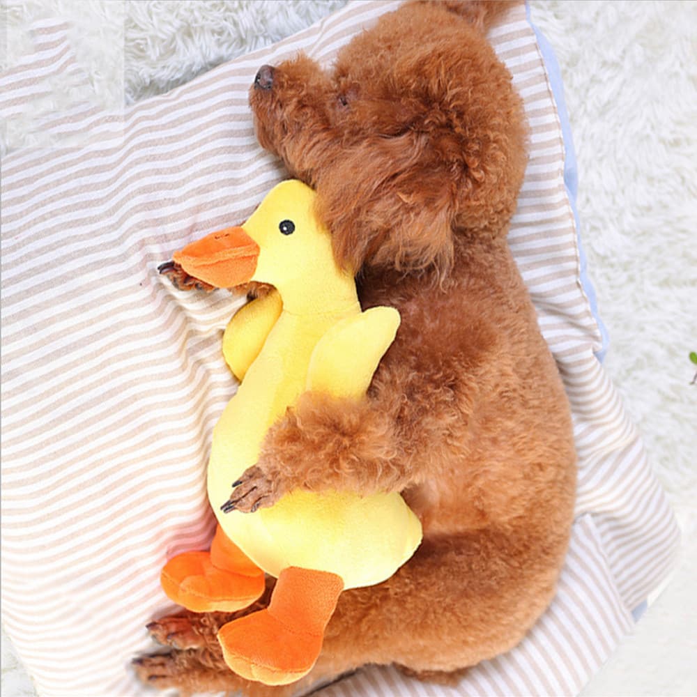 Dog Plush Toy Vocal Huayuan