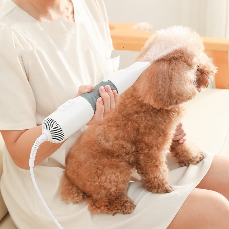 Electric-Dryer Dog Brush