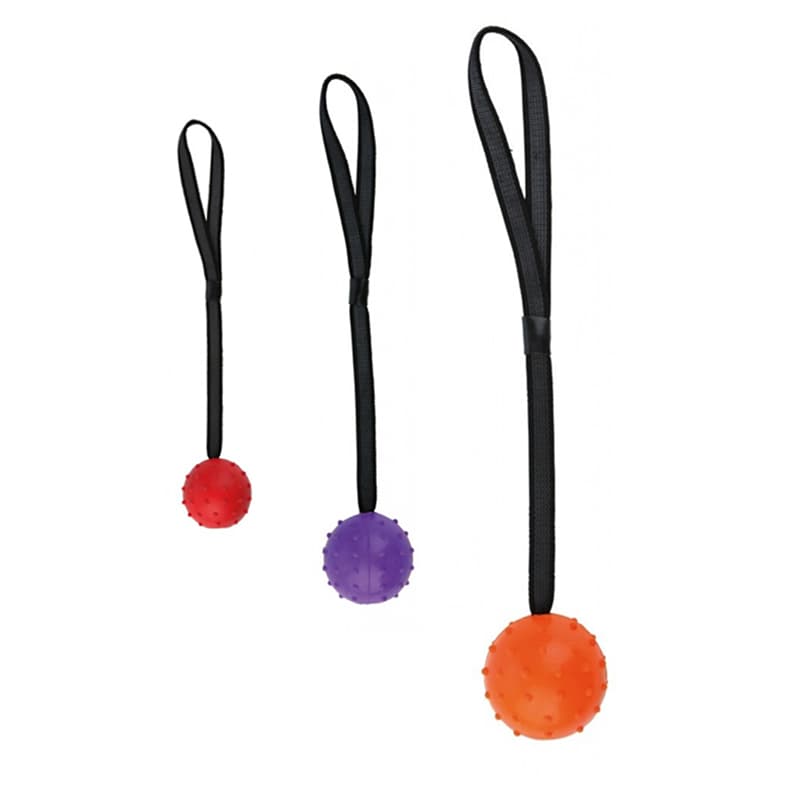 Dog Training Bite-Resistant Rubber Ball Small Medium-Sized Large