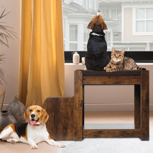 Bunk Bed Removable Steps for Dogs Tier Window Perch Seat Platform