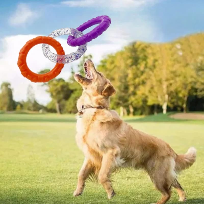 Dog Toys Training Interactive Toy Small Medium Dogs