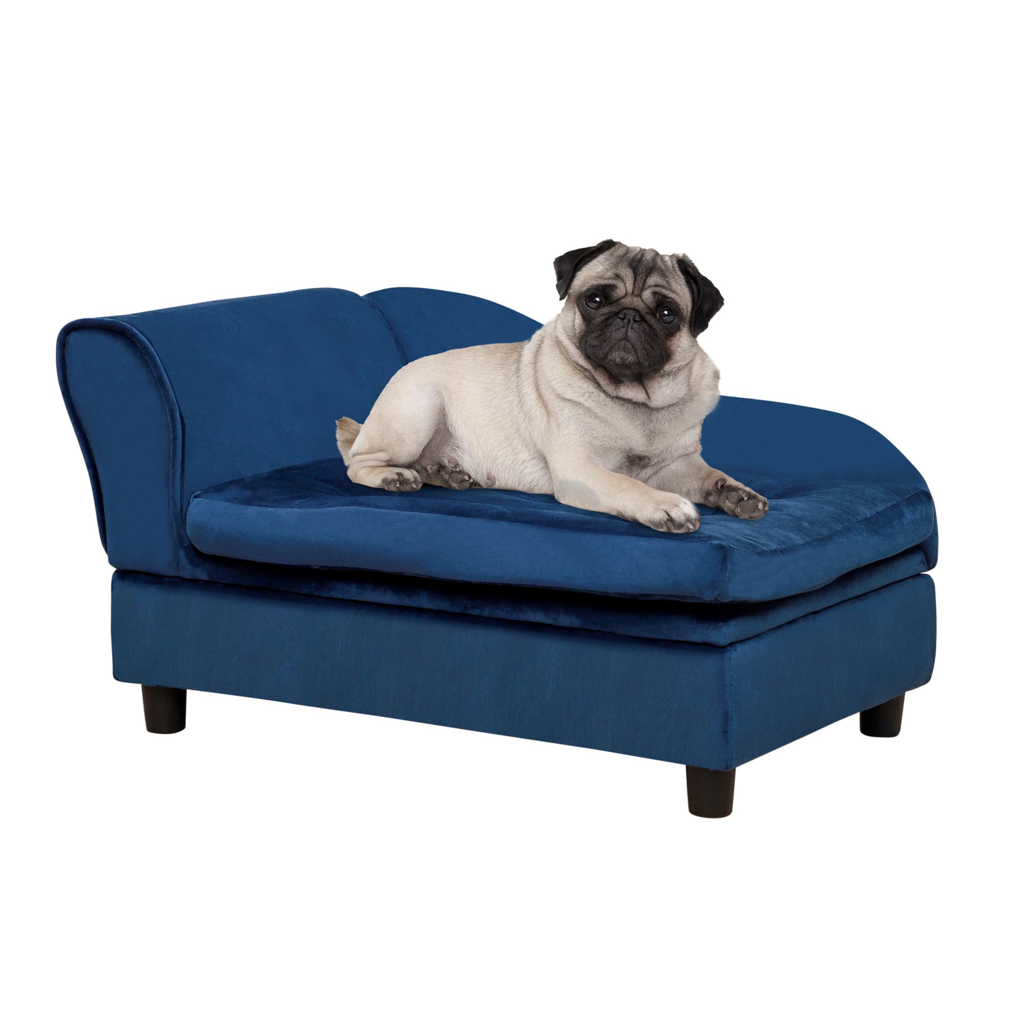 Small Dog Bed Hidden Storage