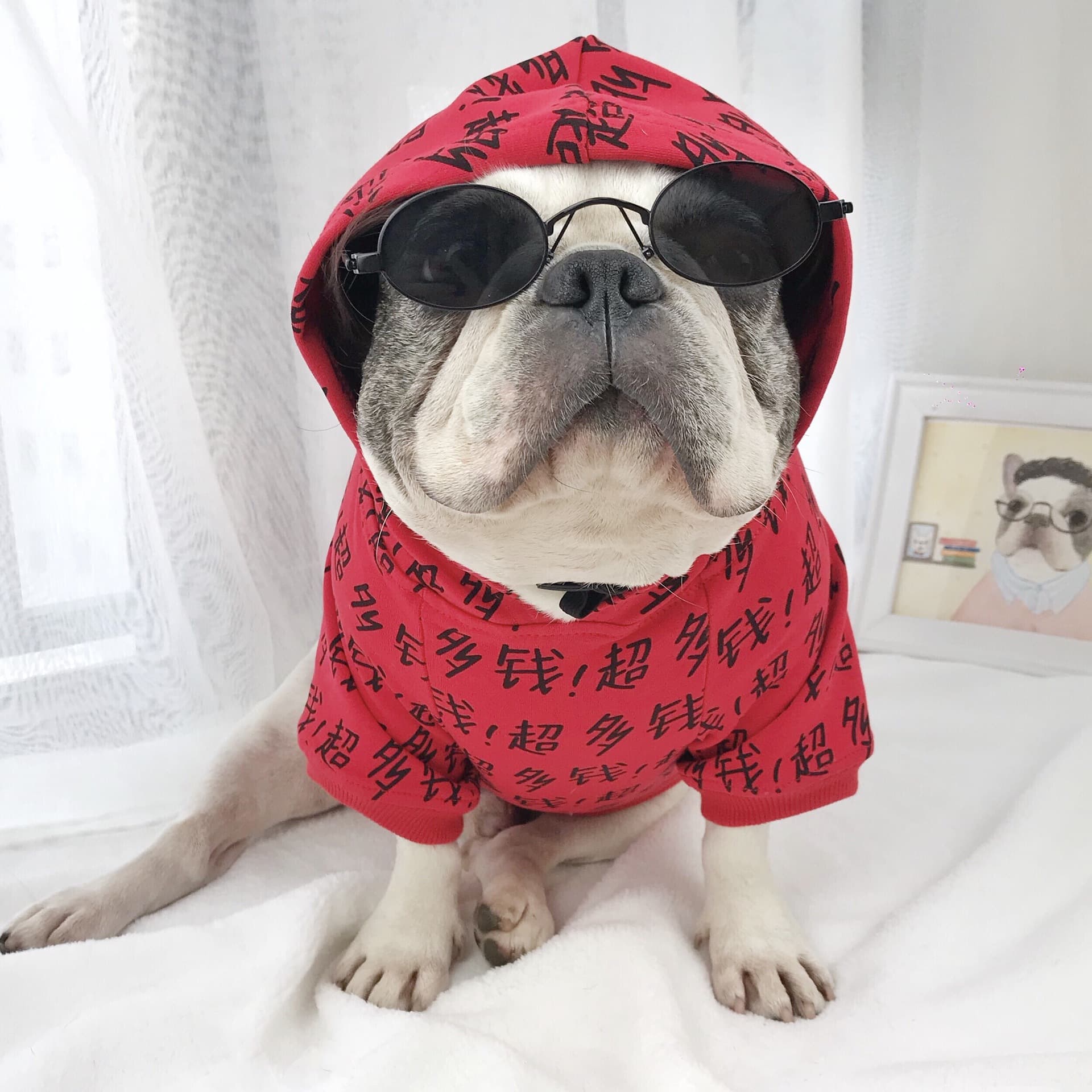 Medium Large Dog Glasses Toy