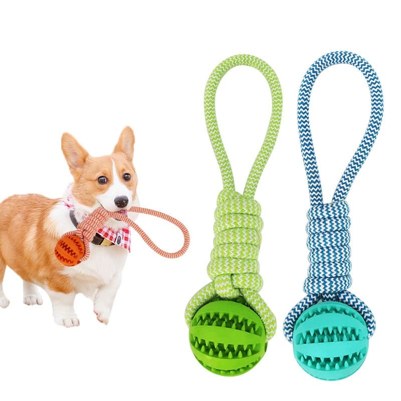 Dog Toys Interactive Small Dog Bite-Resistant Dental Toy Ball Puppy