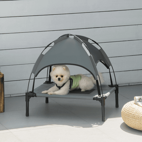 Elevated Portable Dog Cot Bed Uv Canopy Shade