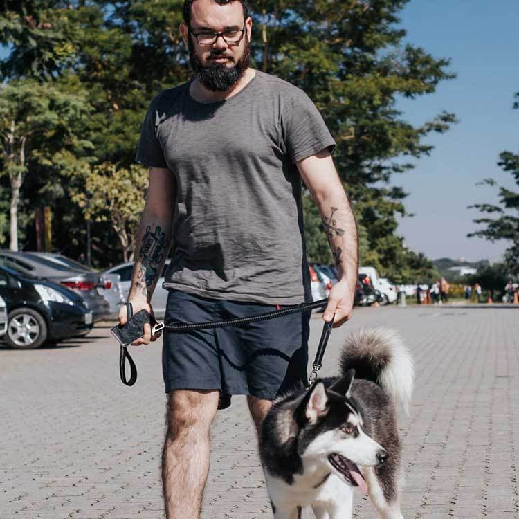 Car Dog Leash