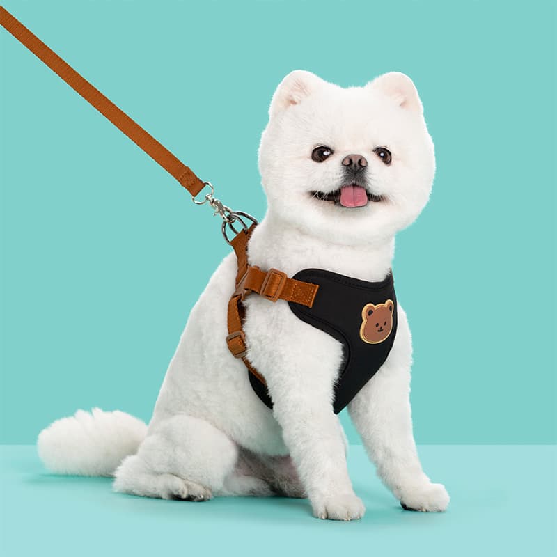 Outing Dog Leash Strap