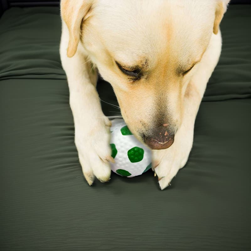 Latex Toy Dog Elastic Ball