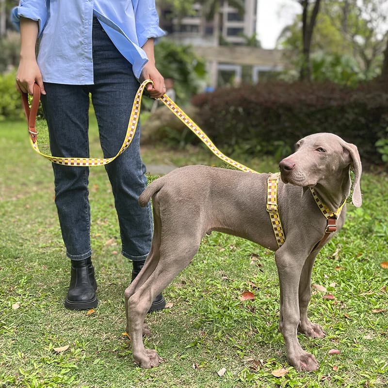 I-Shaped Dog Harness Rope