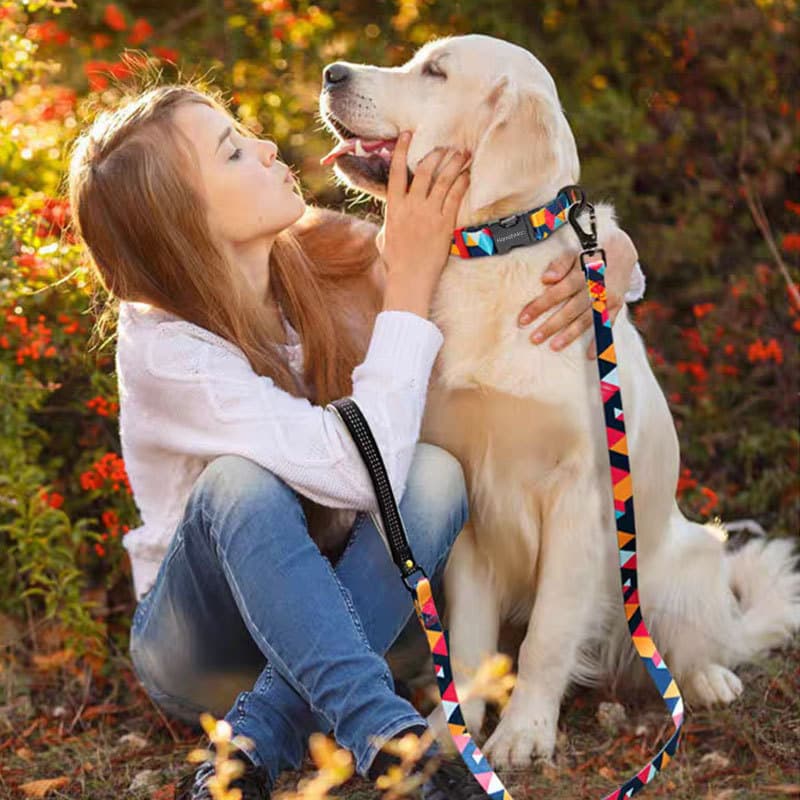 Leash Anti-Lost Dog