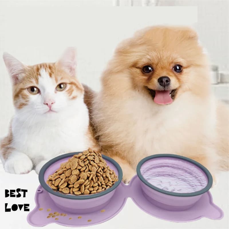 Portable Silicone Double Dog Bowls Foldable Non-Slip Bowl Travel