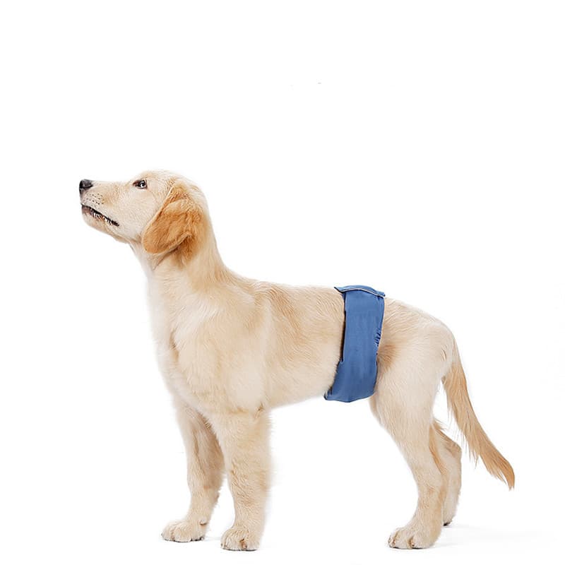 Dog Diaper Breathable Absorbent