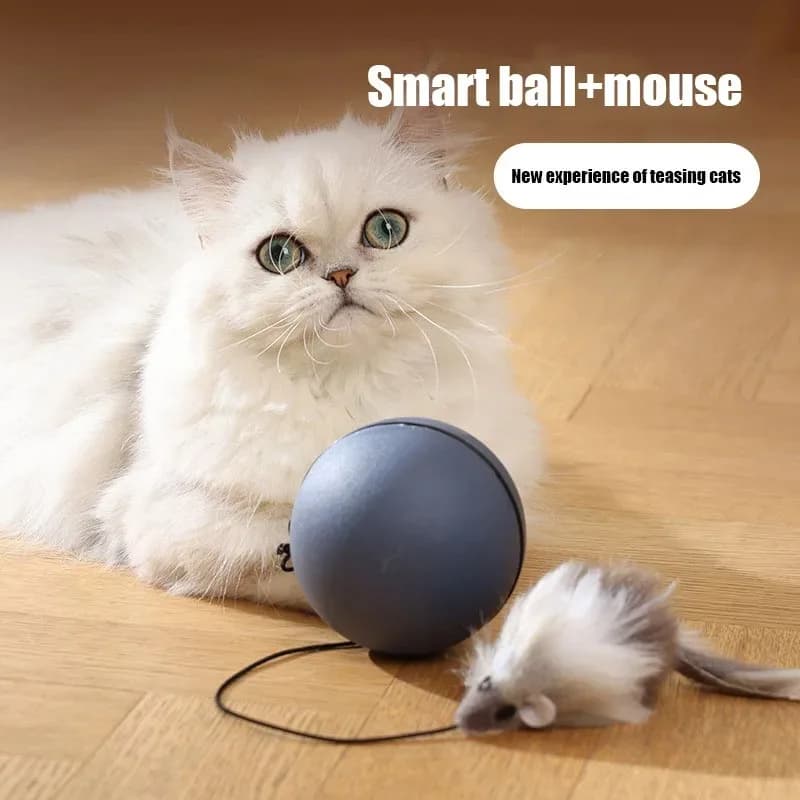 Toys Mouse Teaser Ball Toy