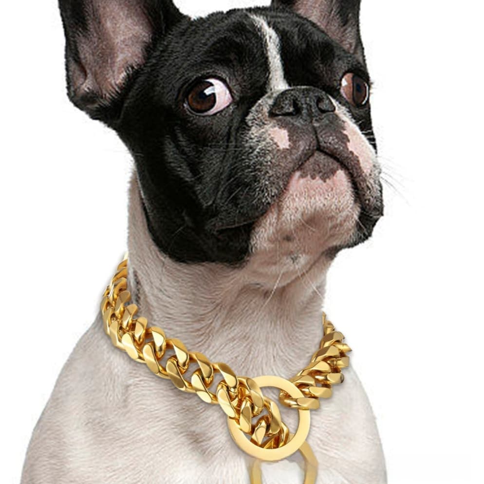 Titanium Steel Metal Hip Hop 15mm Gold Stainless Dog Leash