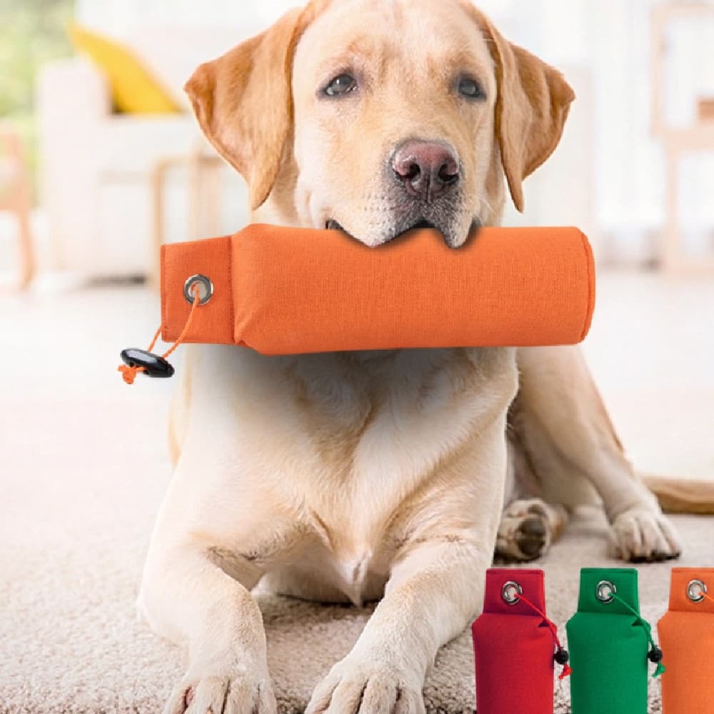Personalized Decompression Dog Toy