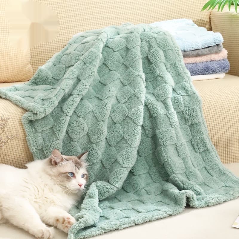 Sleep Dog Bed