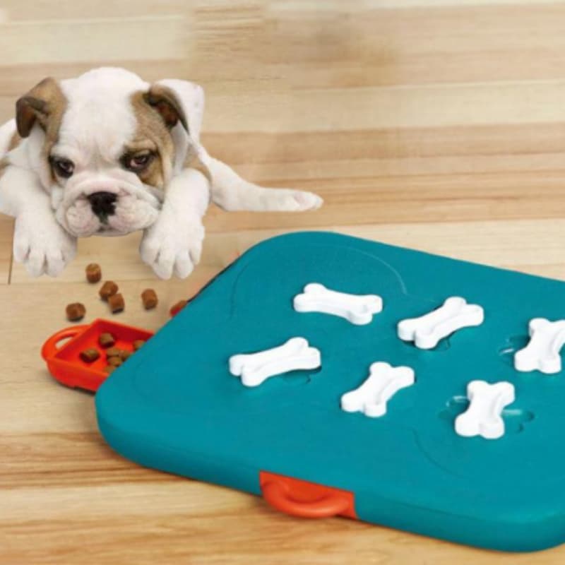 Casino Treasure-Hunt Dog Puzzle Treat Toy