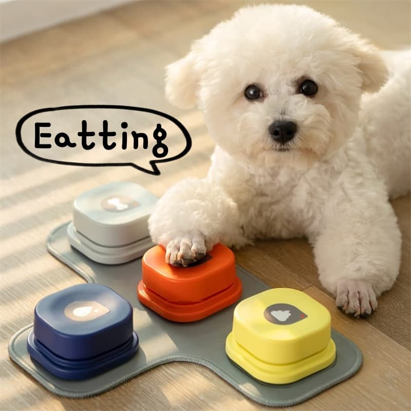 4 Dog Talk Button Recordable Toy