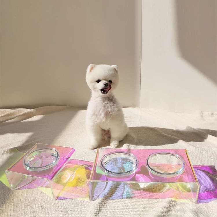 Acrylic Dazzling Bowl Food Basin Small Dog