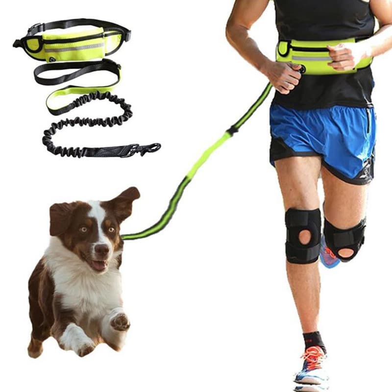 Hands-Free Dog Leash Training Belt 180lbs Large Dog Water Bottle